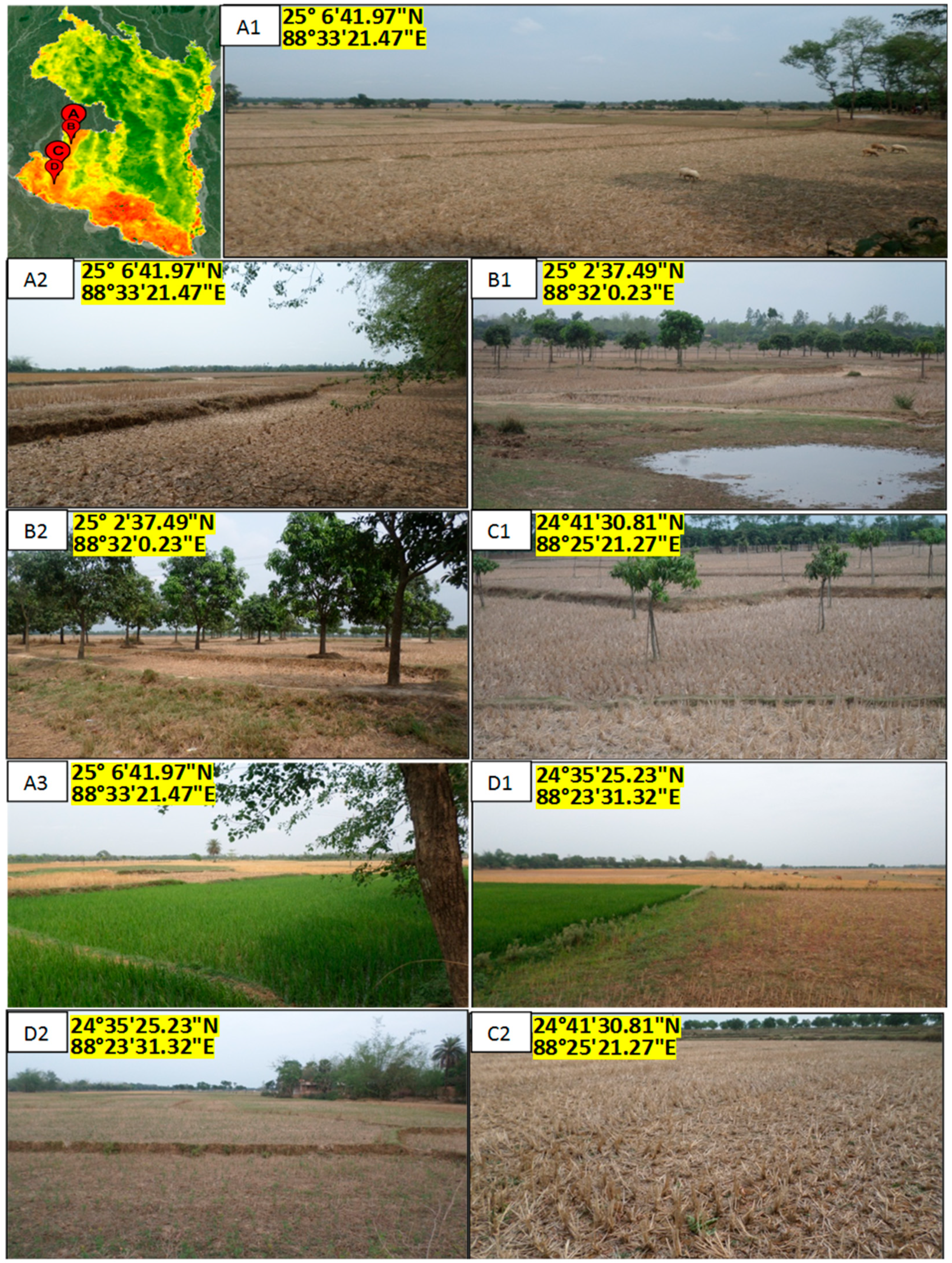 Remotesensing 12 02686 g009