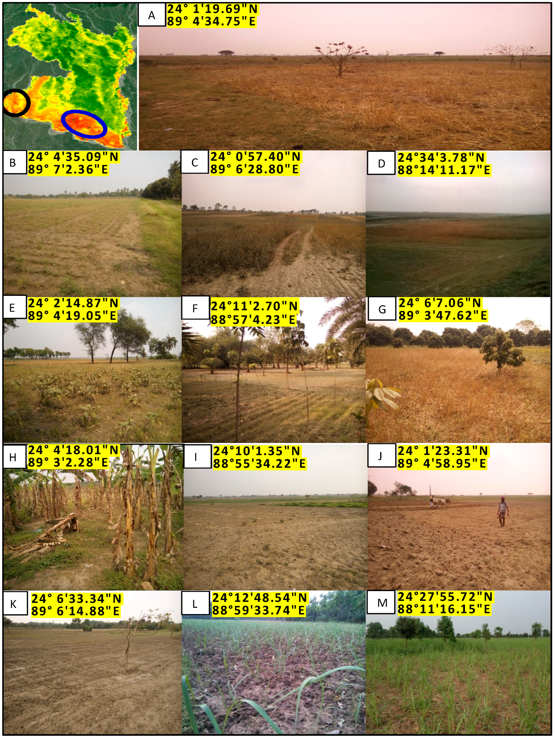 Remotesensing 12 02686 g010