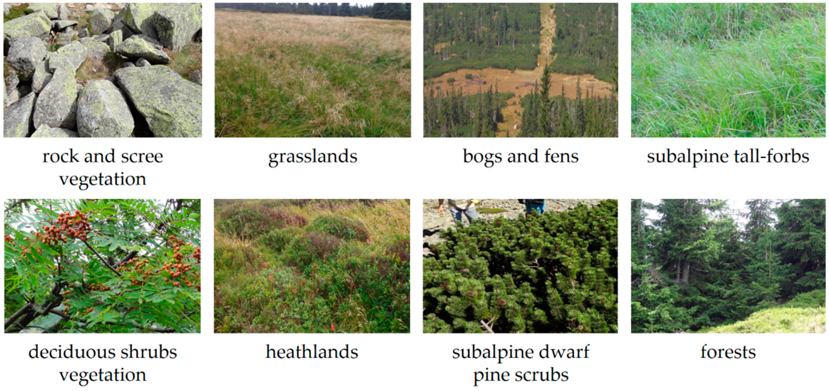 Remotesensing 12 02696 g002 Remotesensing 12 02696 g002