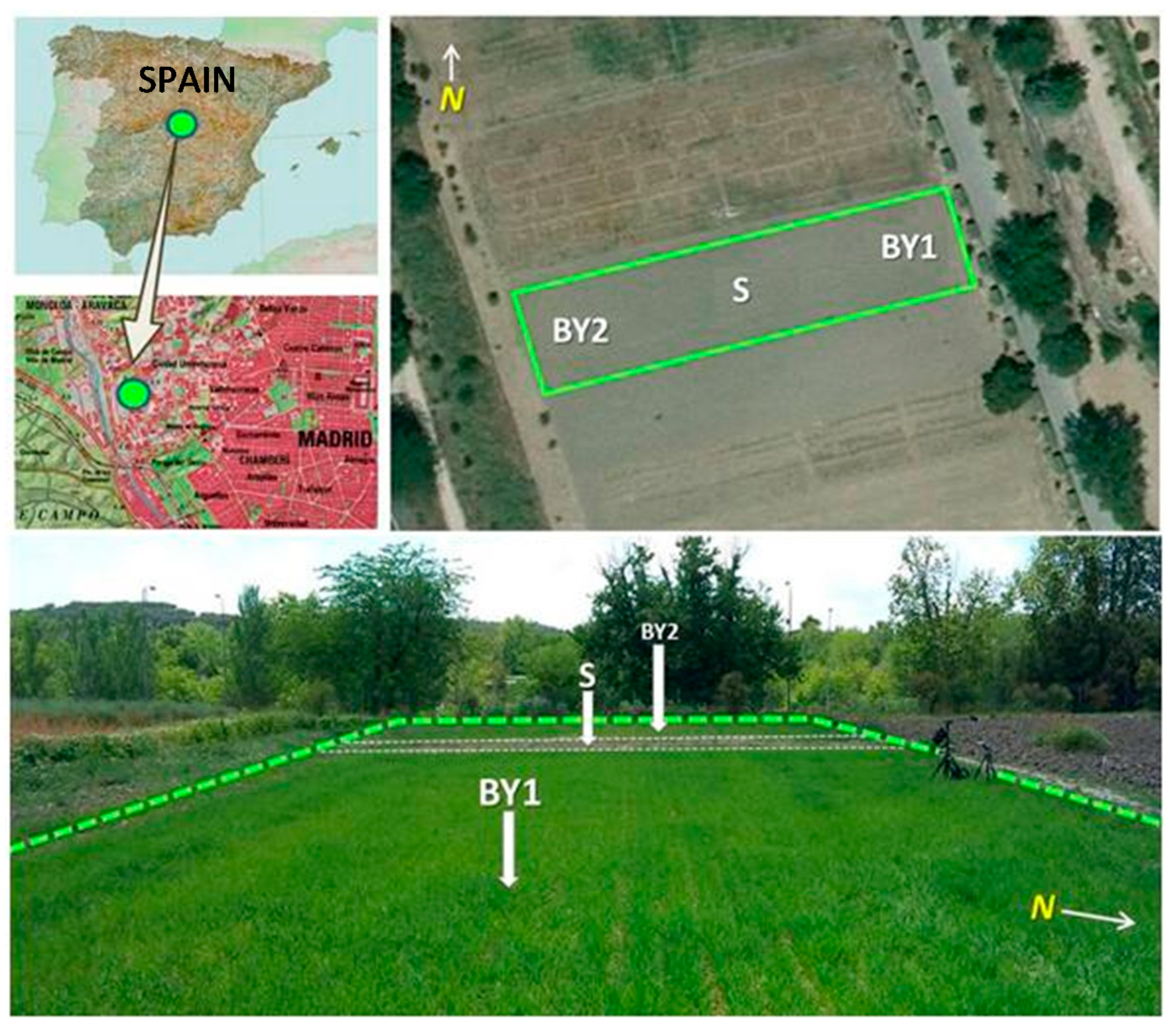 Remotesensing 12 02724 g001