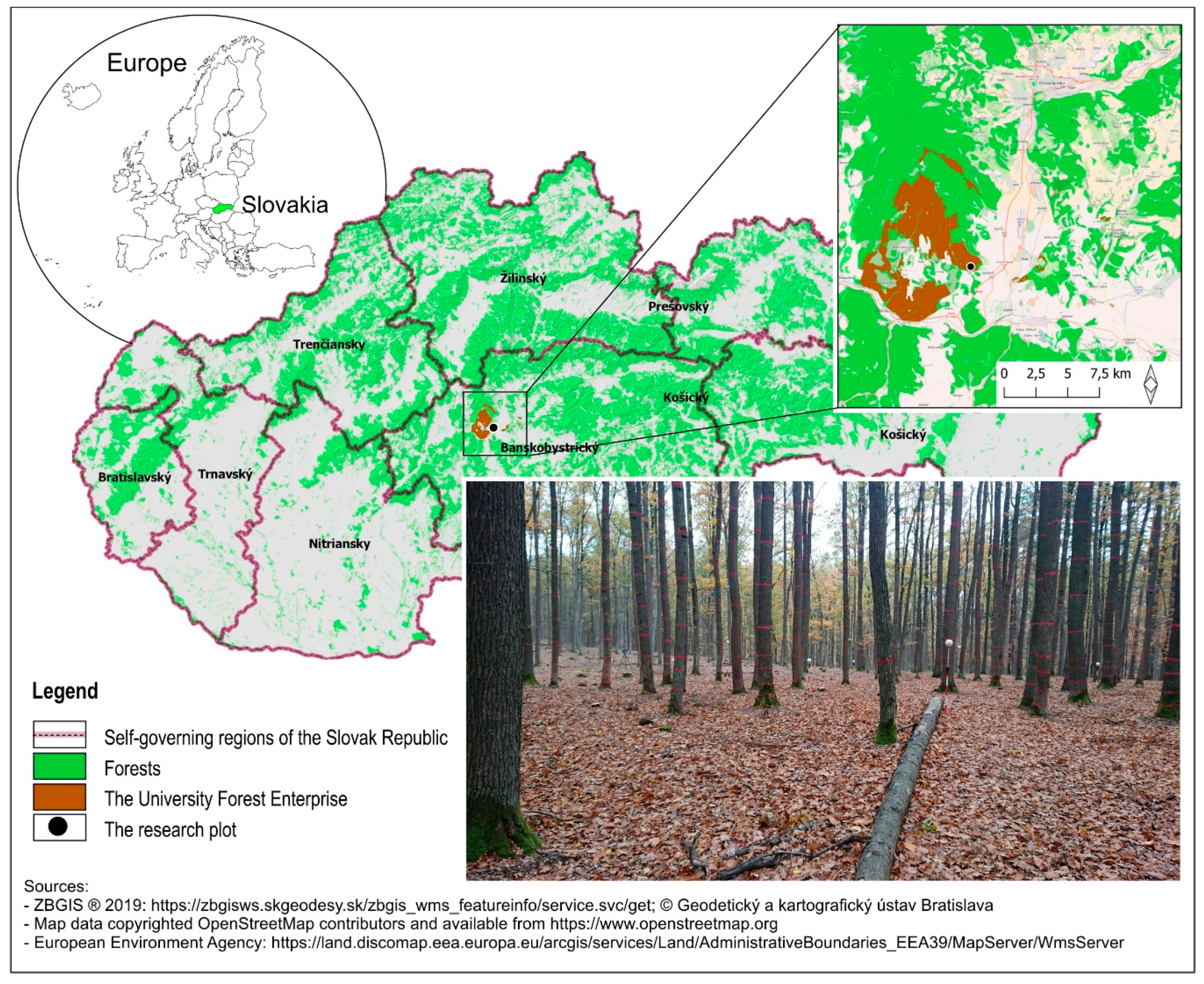 Remotesensing 12 02739 g001