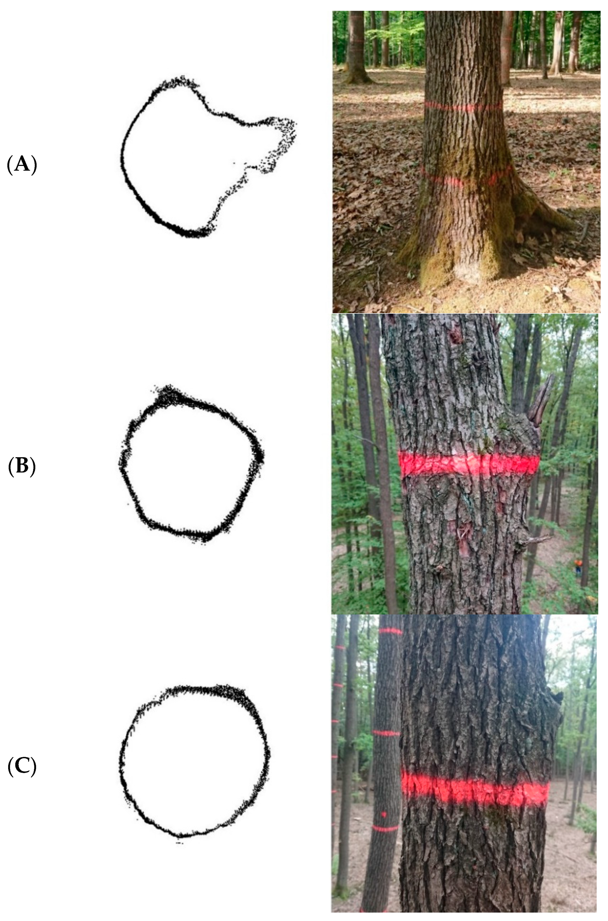 Remotesensing 12 02739 g009