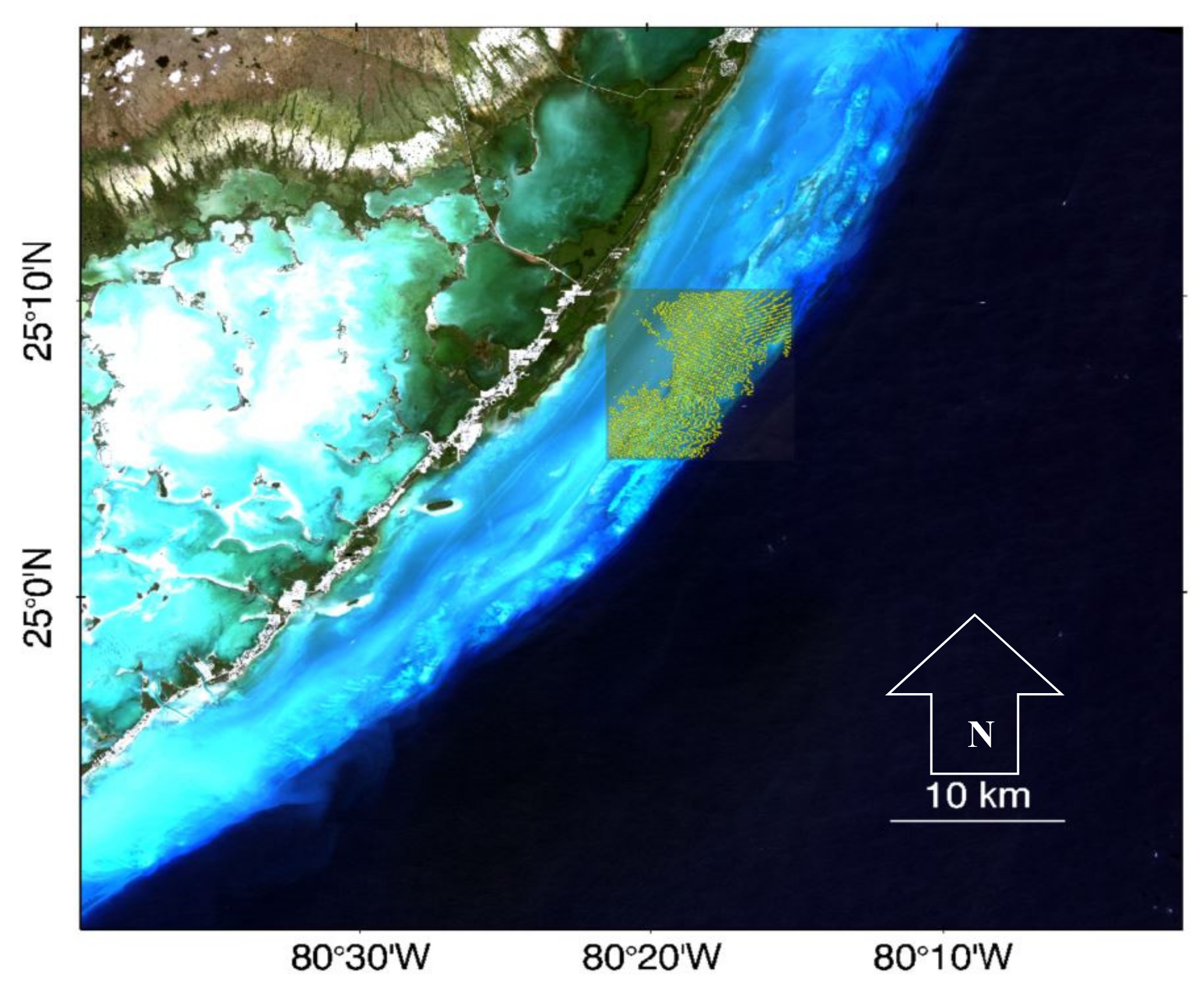 Remotesensing 12 02752 g001 Remotesensing 12 02752 g001