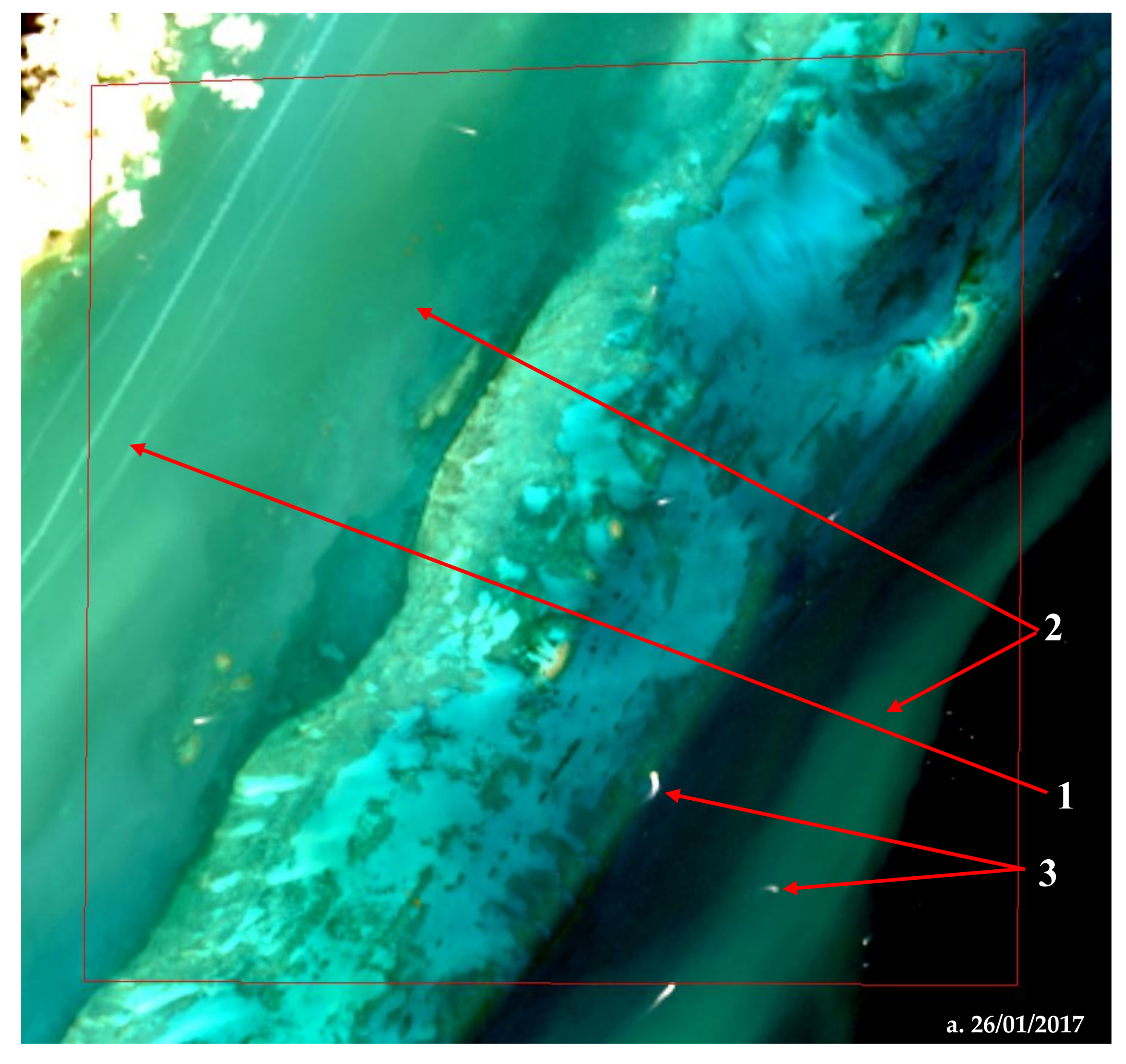 Remotesensing 12 02752 g005a Remotesensing 12 02752 g005a