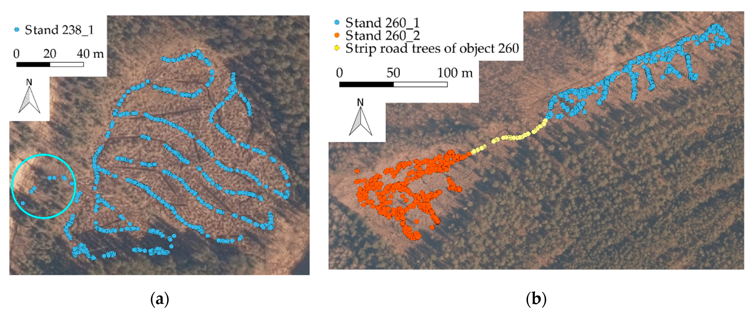 Remotesensing 12 02754 g004