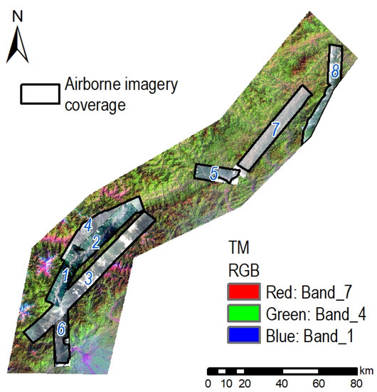 Mapping Post-Earthquake Landslide Susceptibility: A U-Net