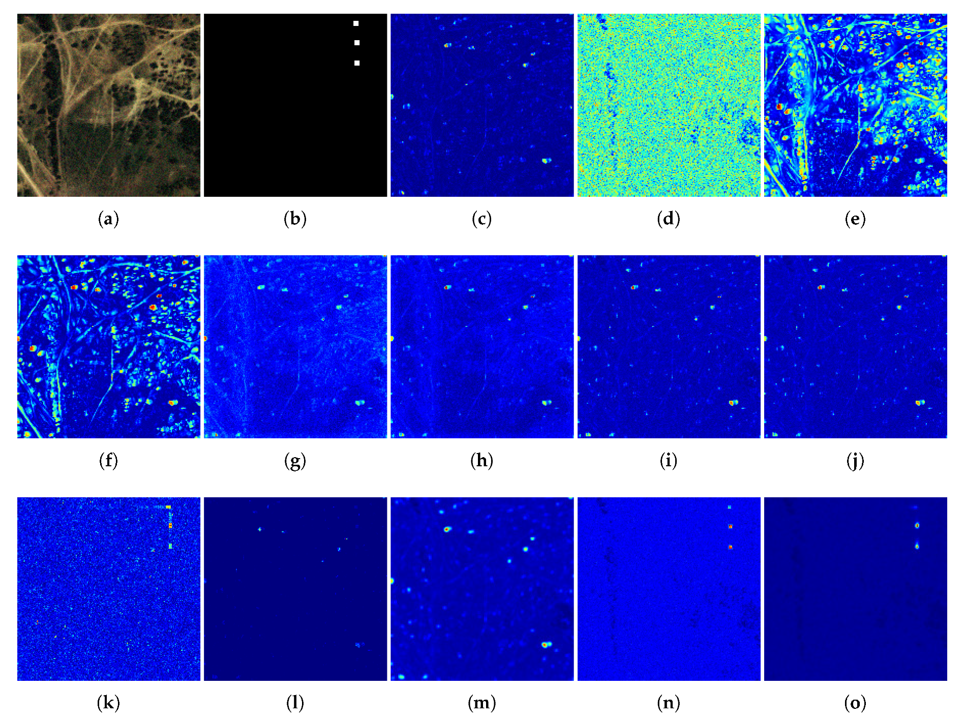 Remotesensing 12 02783 g010