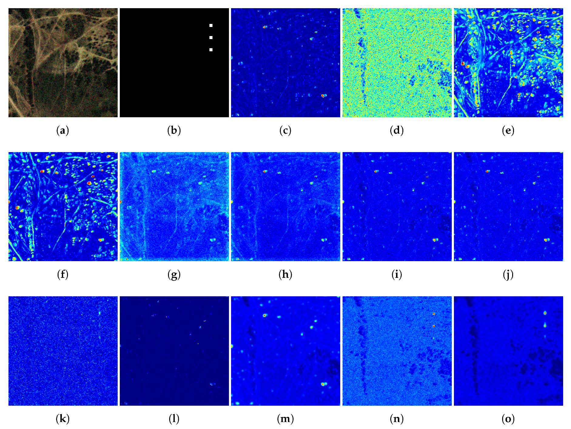 Remotesensing 12 02783 g011