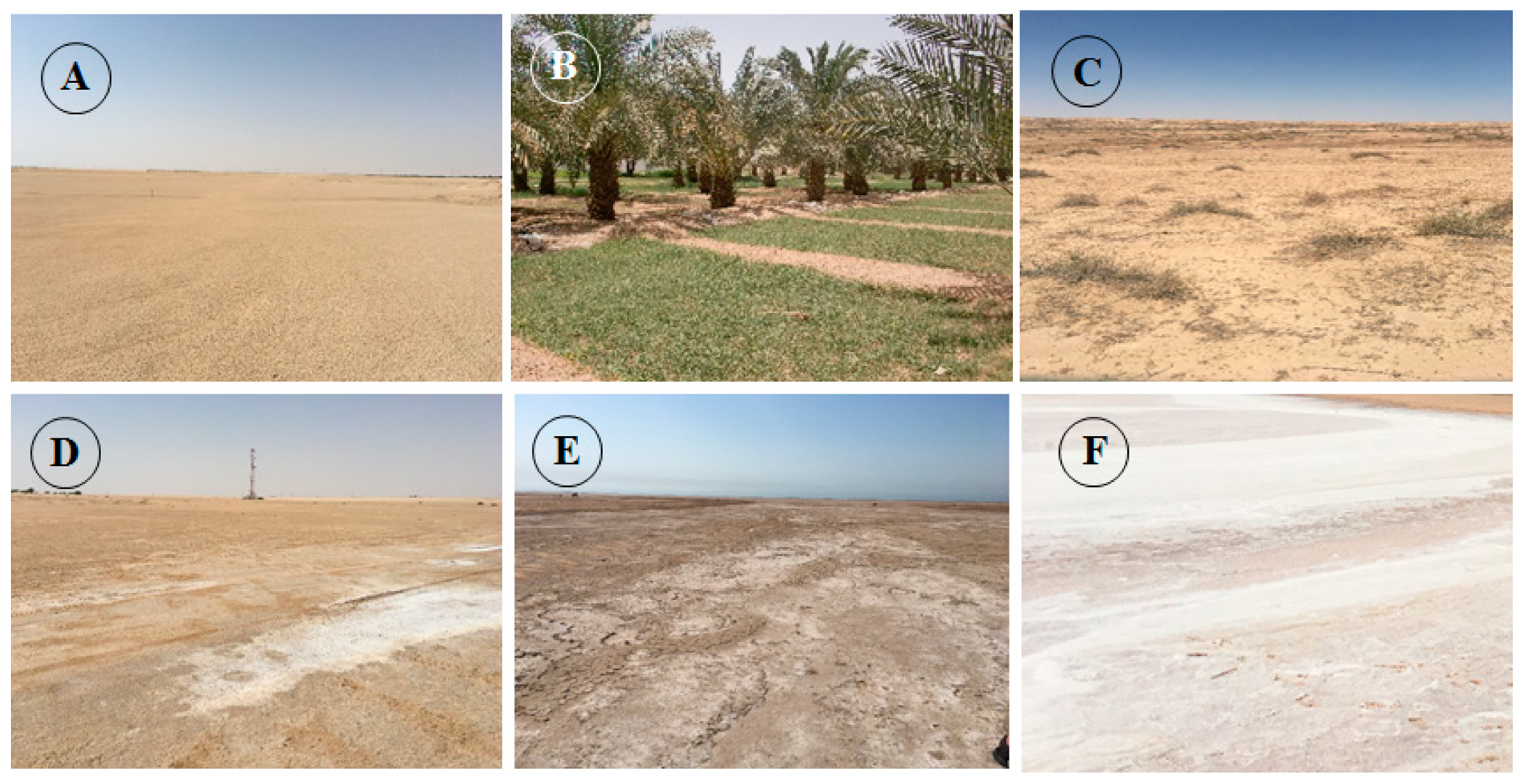 Remotesensing 12 02794 g003 Remotesensing 12 02794 g003