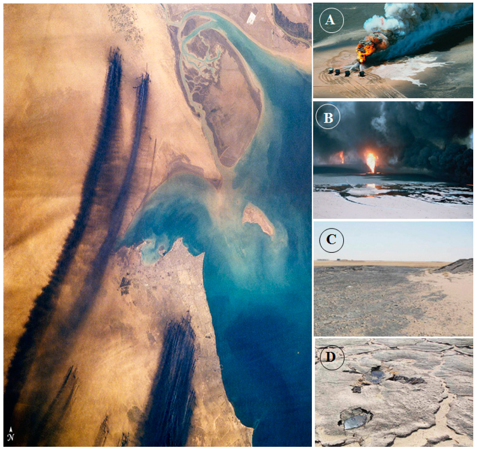 Remotesensing 12 02794 g009 Remotesensing 12 02794 g009