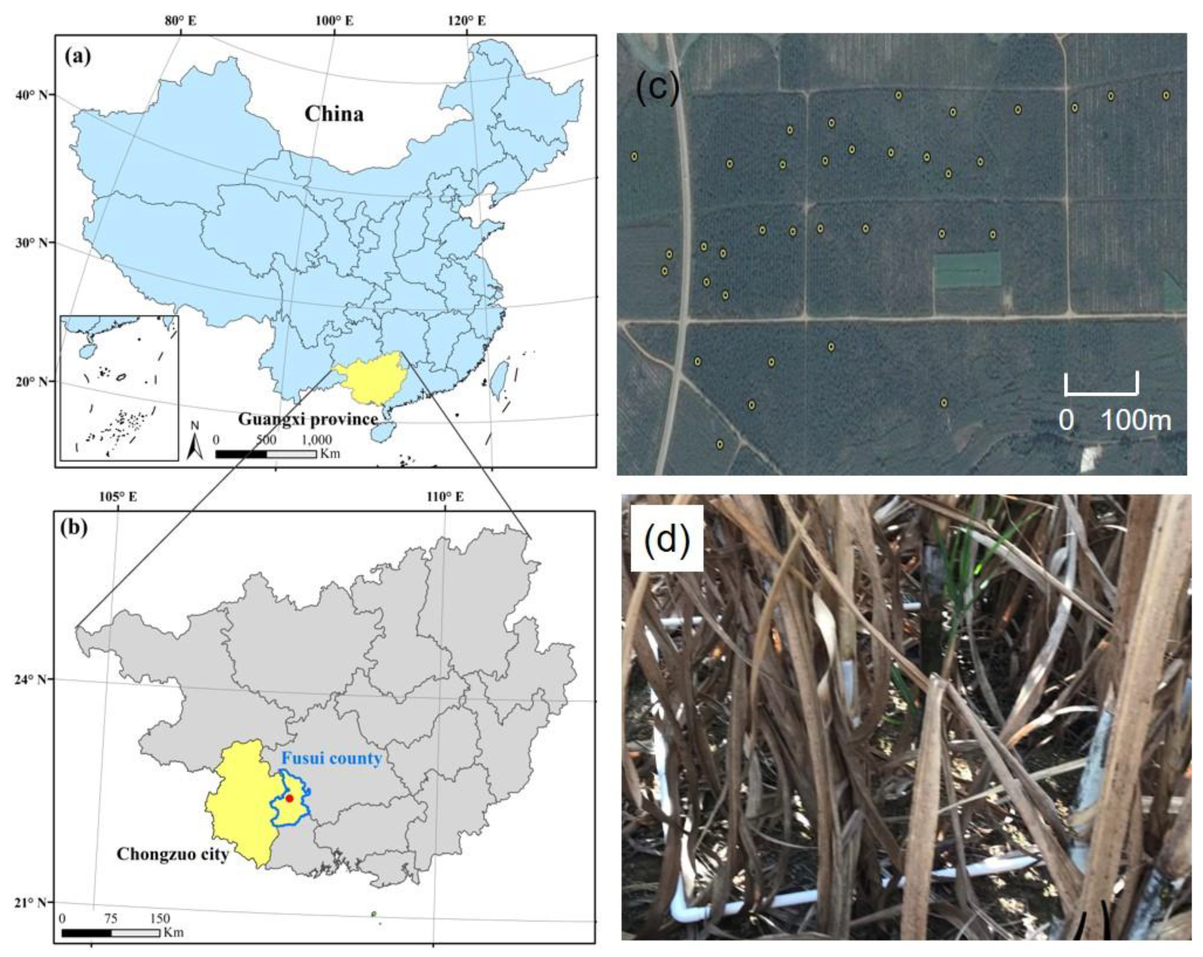 Remotesensing 12 02823 g001