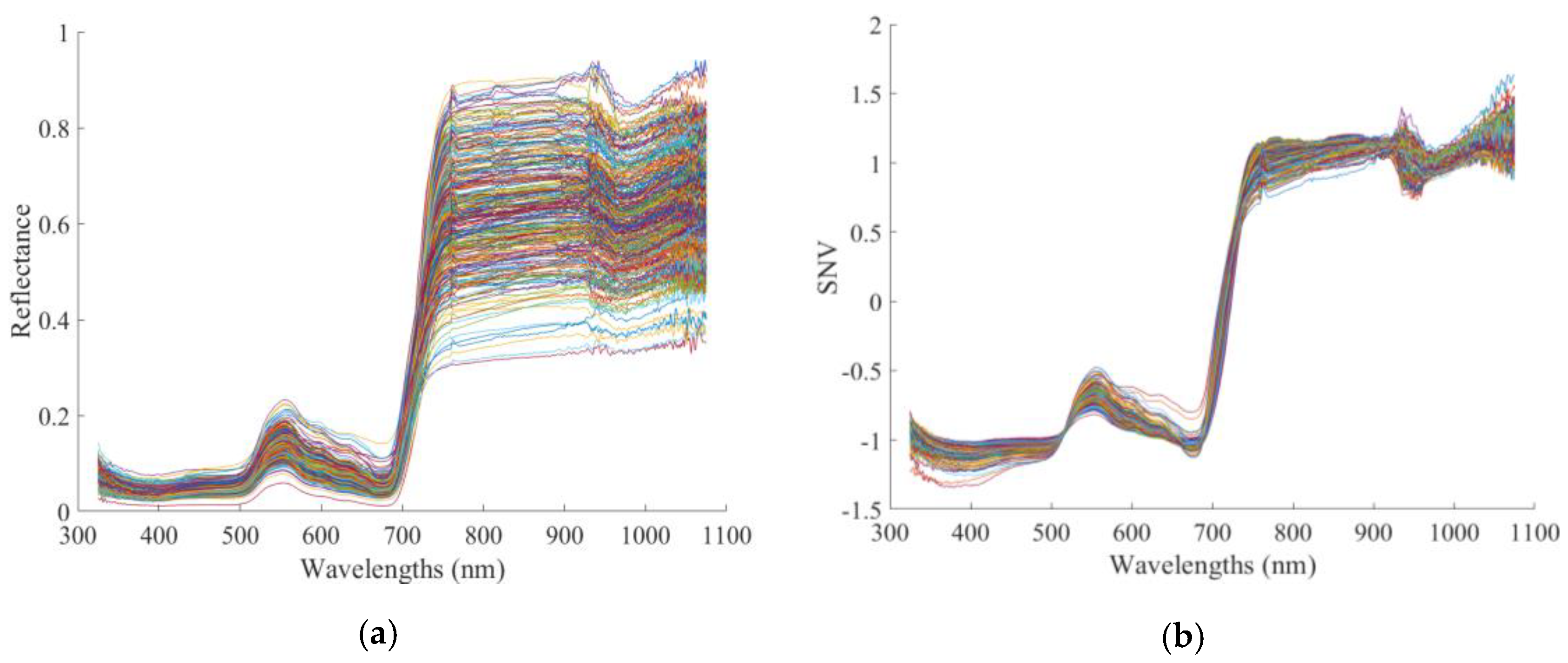Remotesensing 12 02826 g005