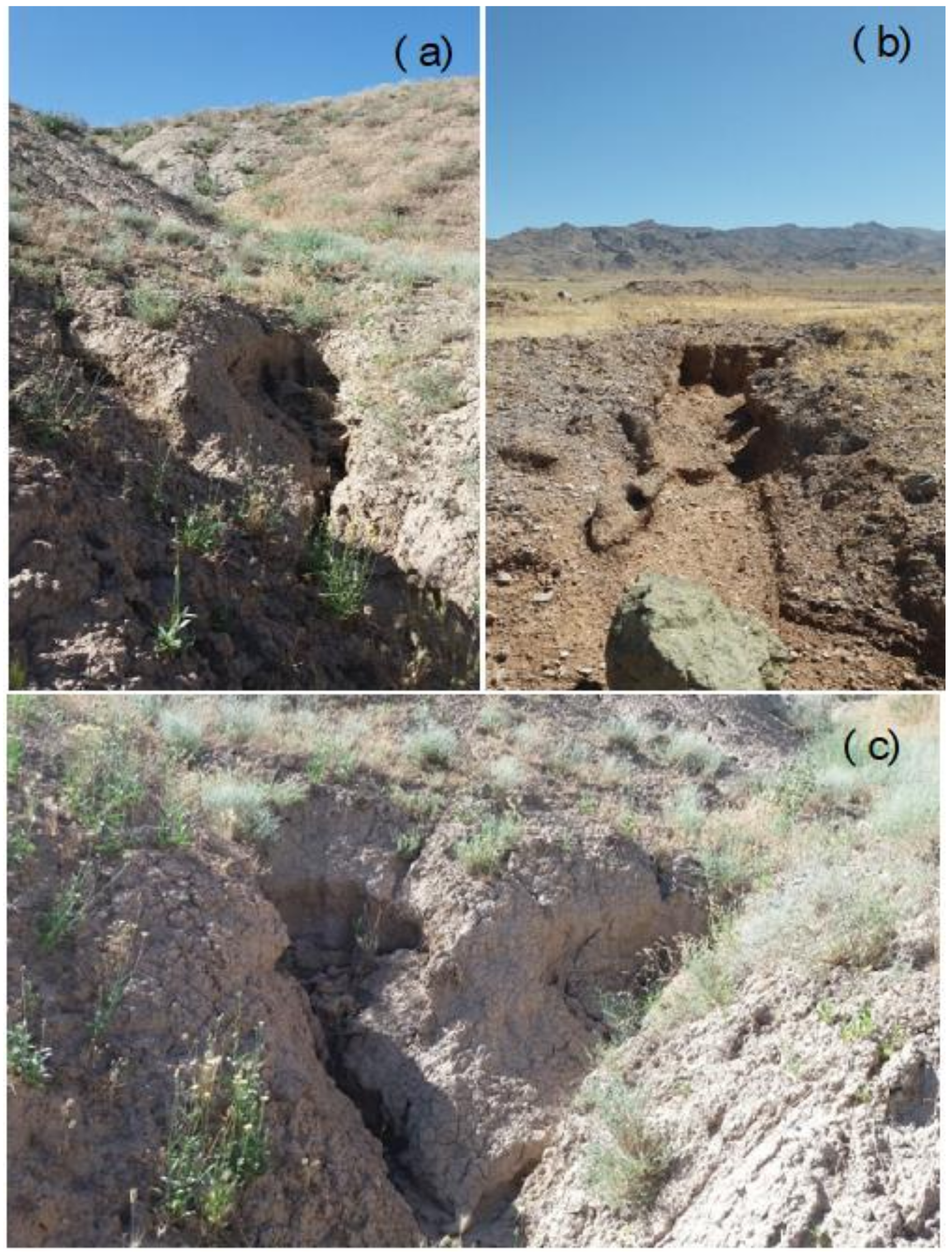 Remotesensing 12 02833 g003