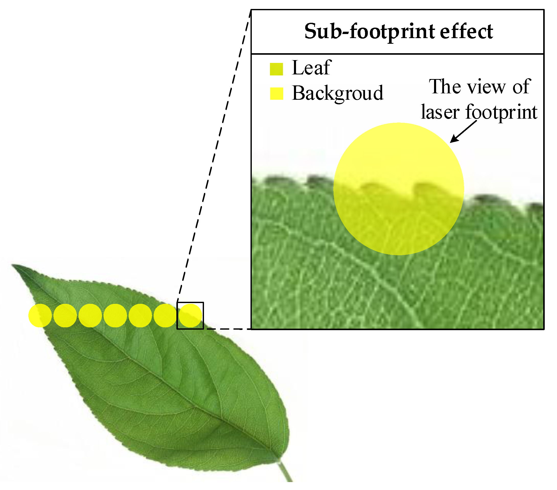 Remotesensing 12 02855 g001