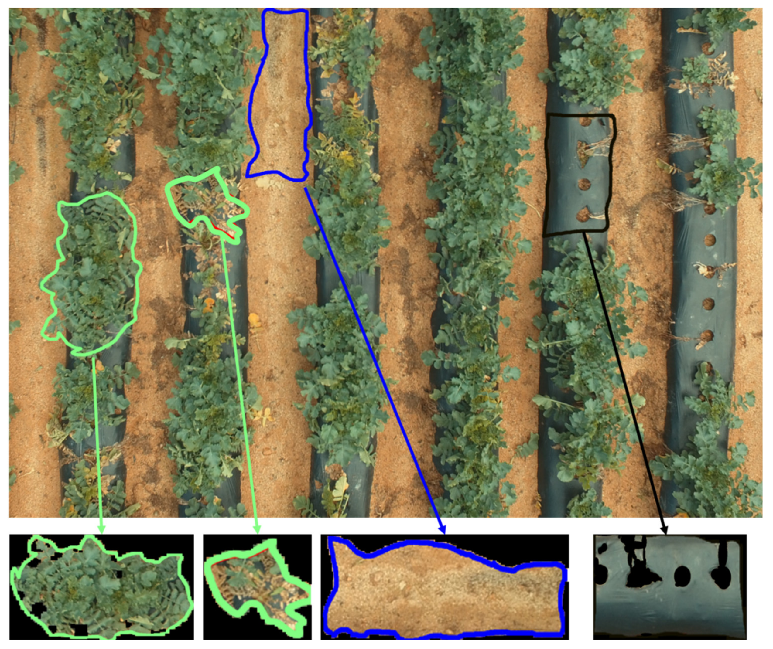 Remotesensing 12 02863 g003 Remotesensing 12 02863 g003