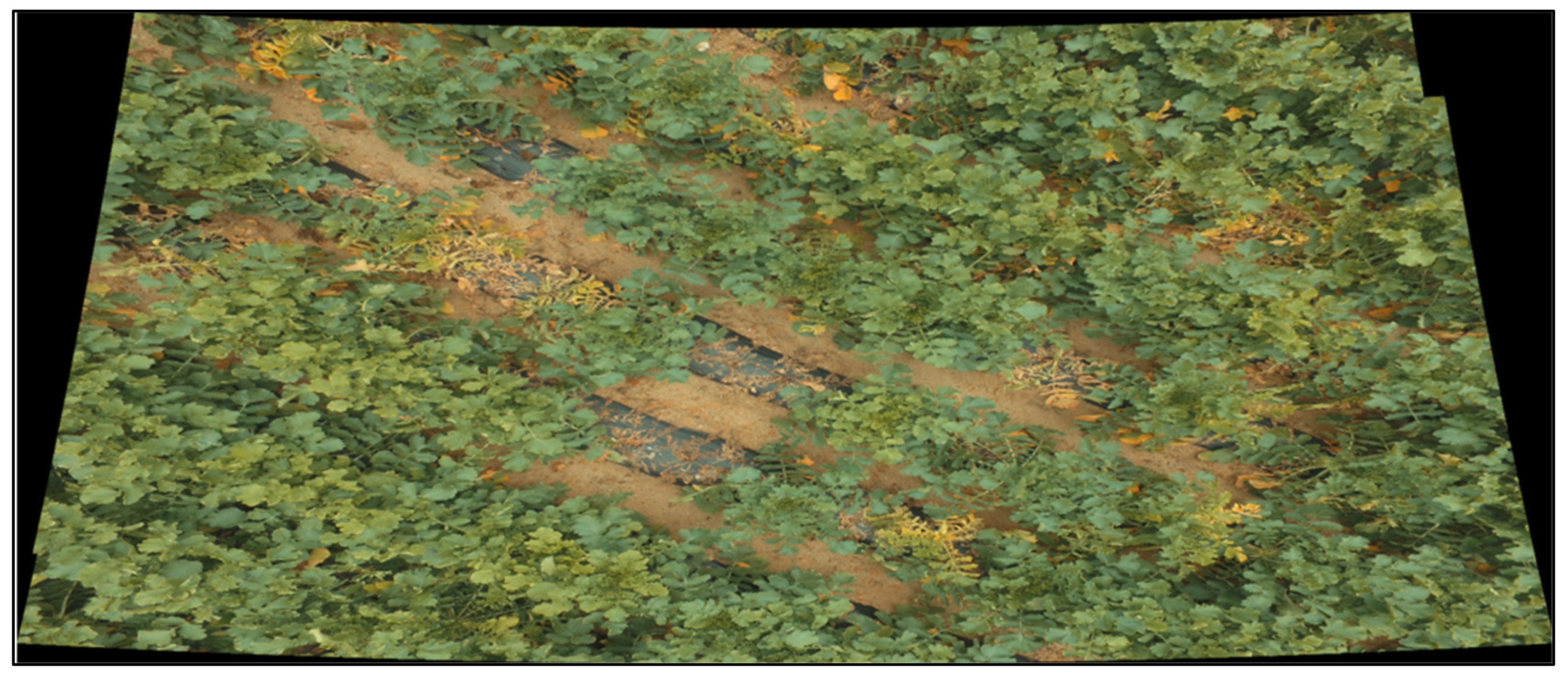 Remotesensing 12 02863 g005 Remotesensing 12 02863 g005