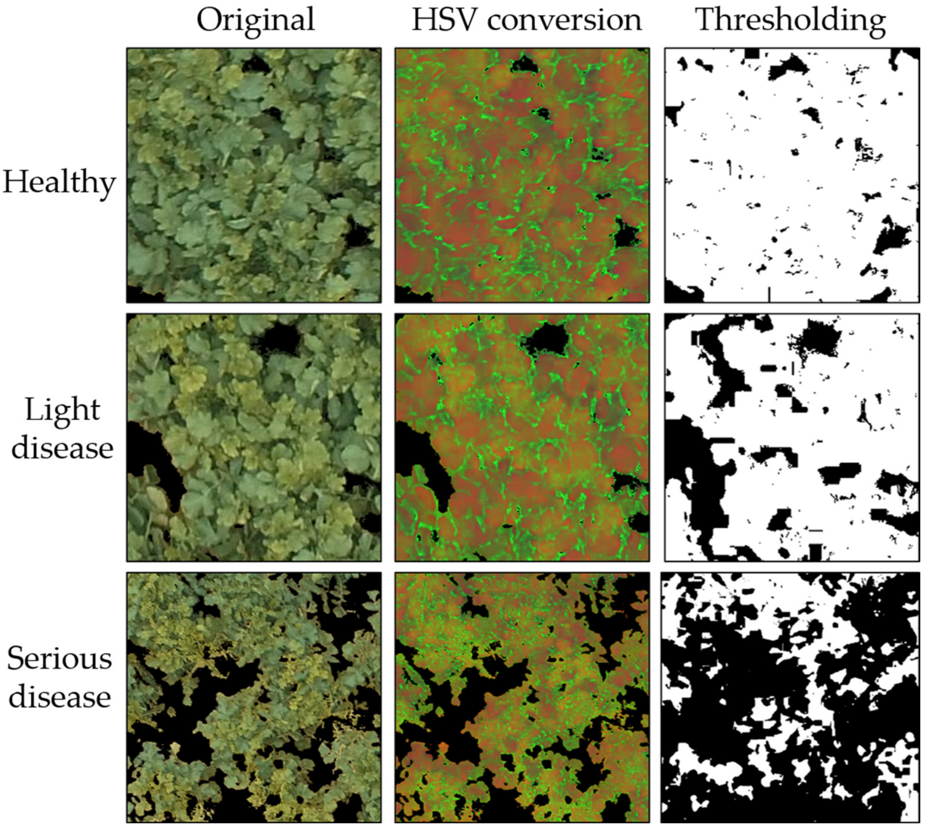 Remotesensing 12 02863 g008 Remotesensing 12 02863 g008