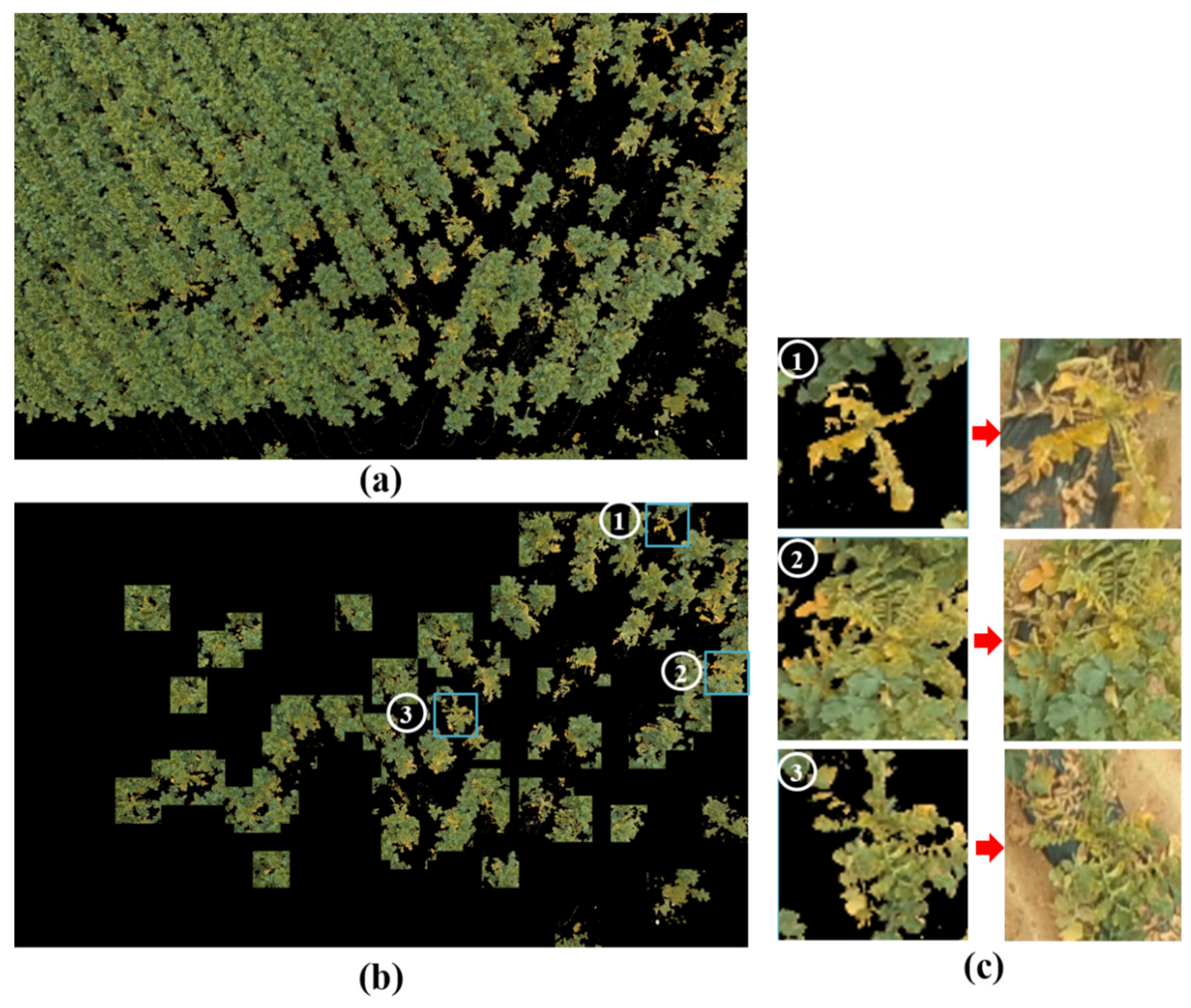 Remotesensing 12 02863 g010 Remotesensing 12 02863 g010
