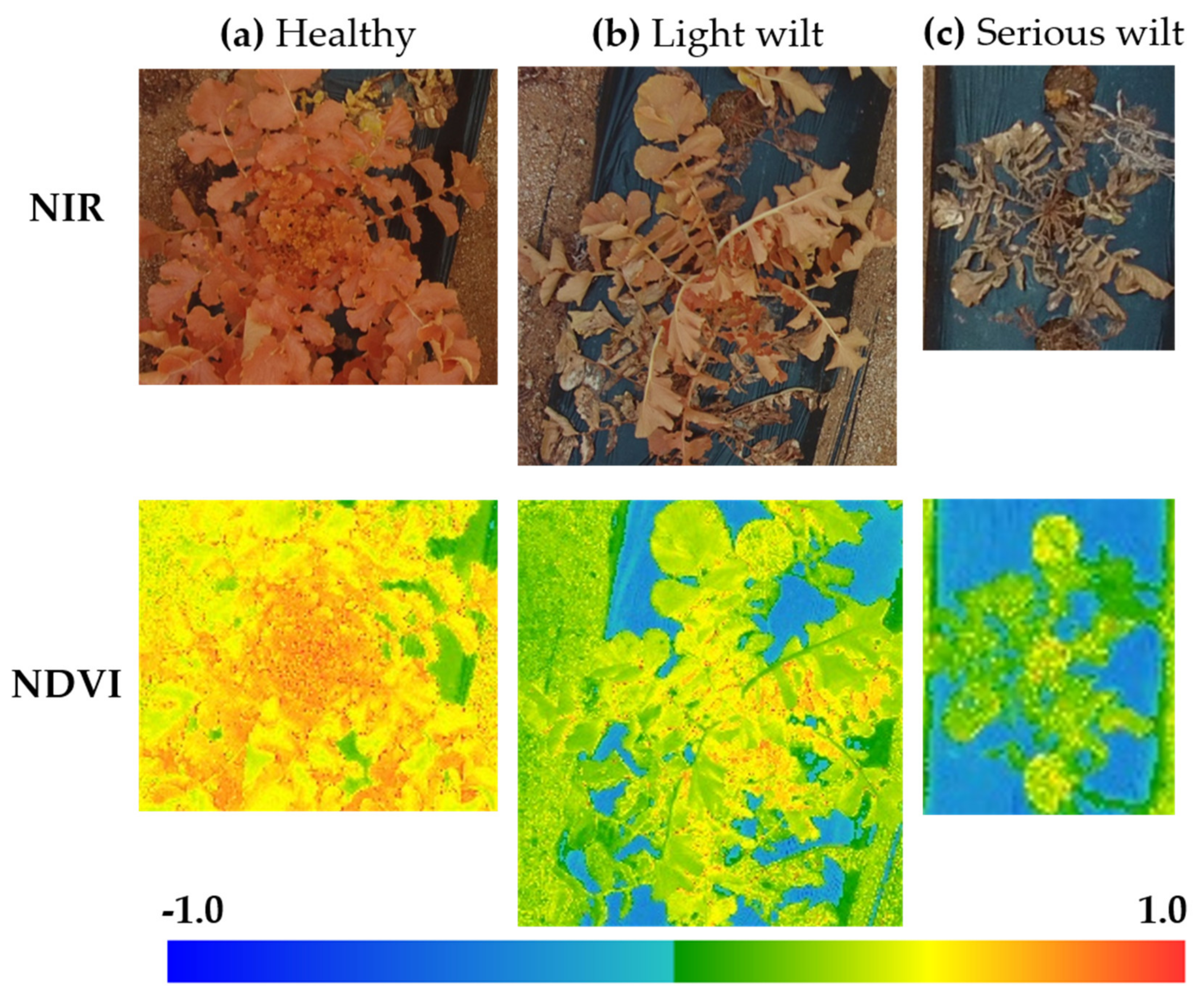 Remotesensing 12 02863 g012 Remotesensing 12 02863 g012