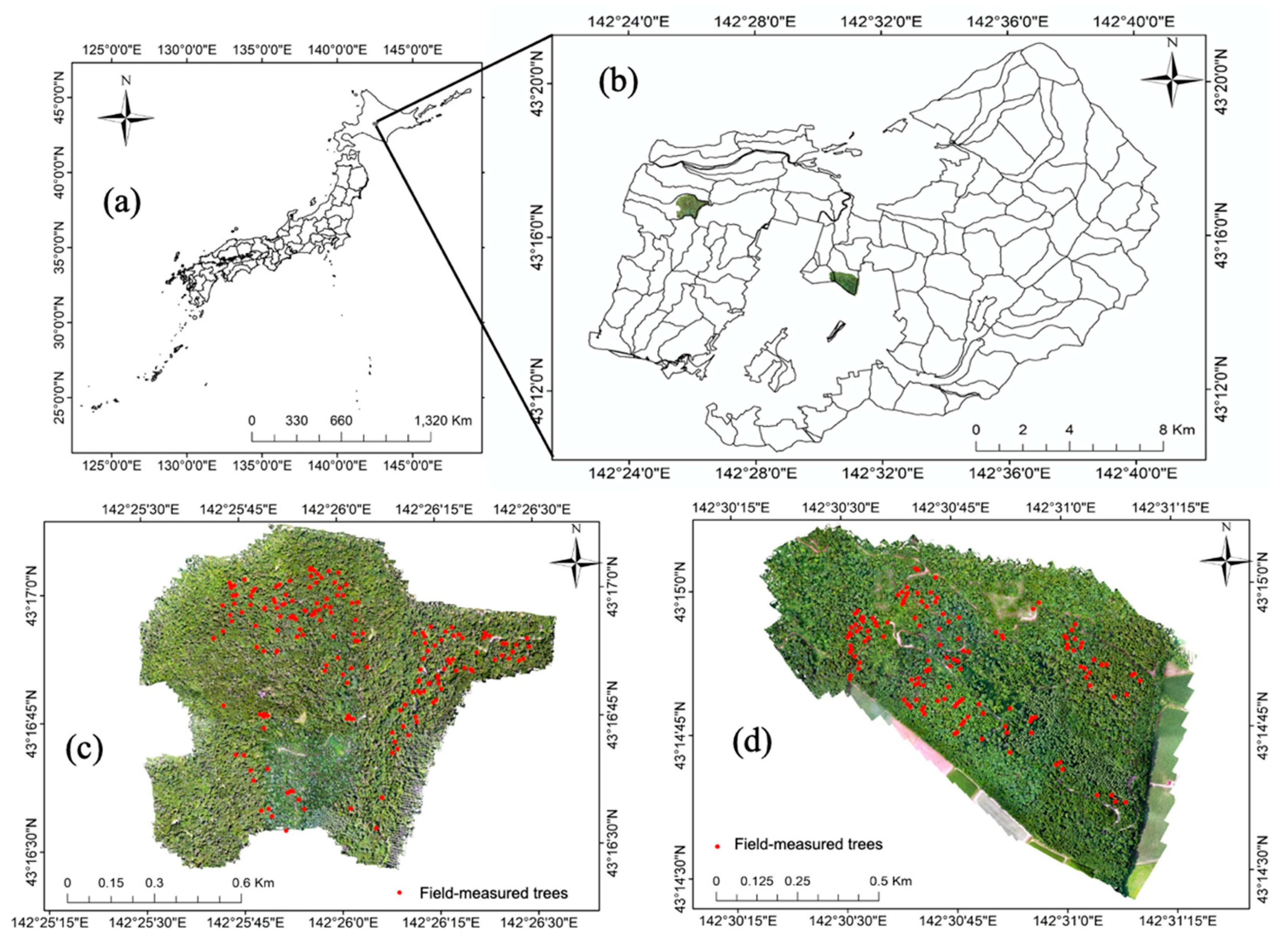 Remotesensing 12 02865 g001 Remotesensing 12 02865 g001