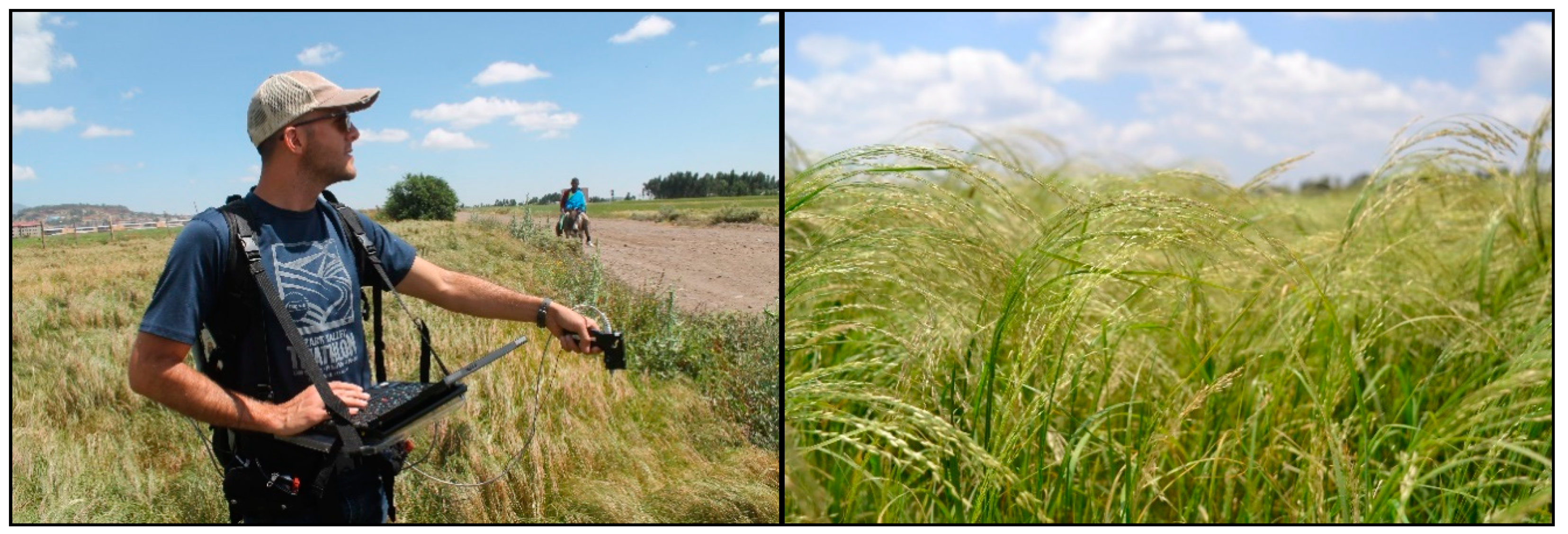 Remotesensing 12 02867 g003