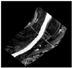 Remotesensing 12 02899 i005