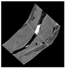 Remotesensing 12 02899 i011