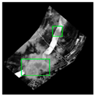 Remotesensing 12 02899 i014