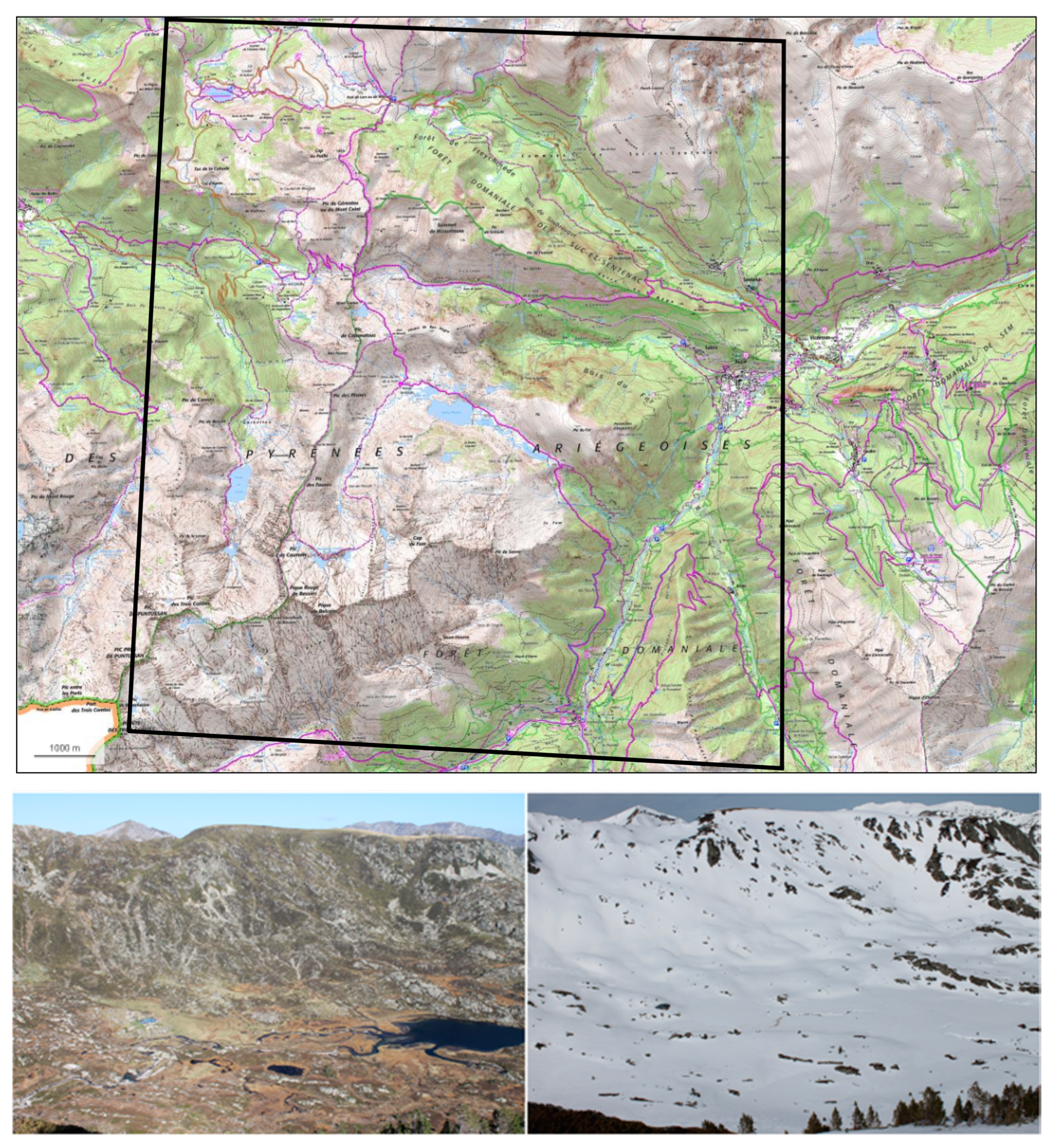 Remotesensing 12 02904 g002