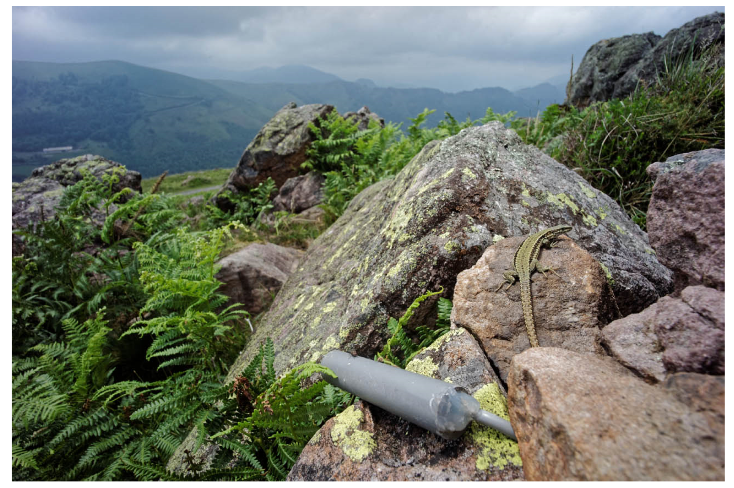 Remotesensing 12 02908 g001 Remotesensing 12 02908 g001