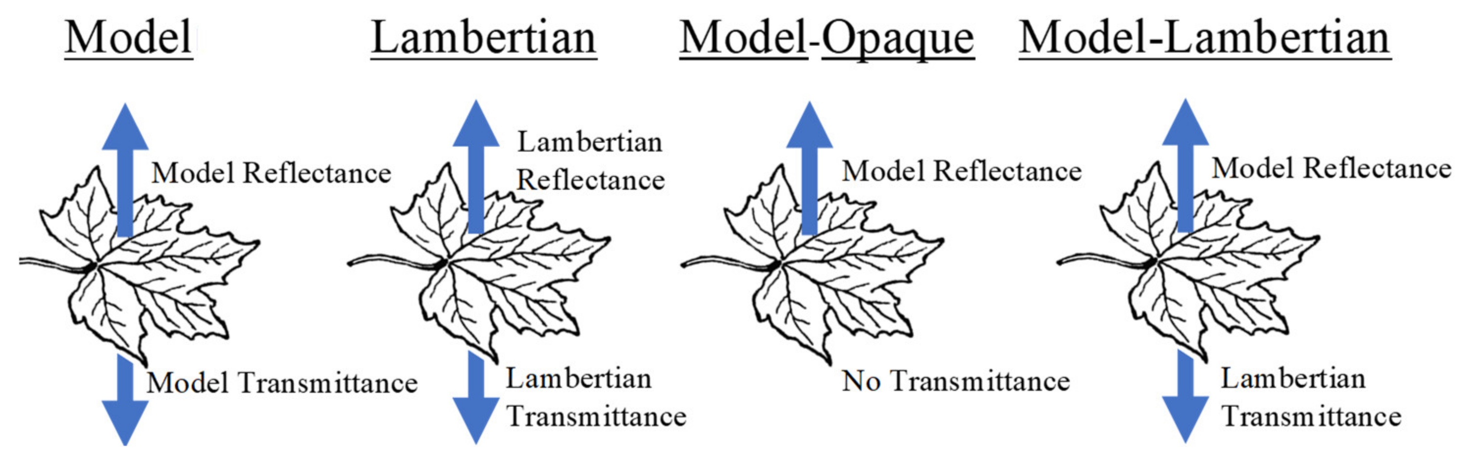 Remotesensing 12 02909 g011 Remotesensing 12 02909 g011