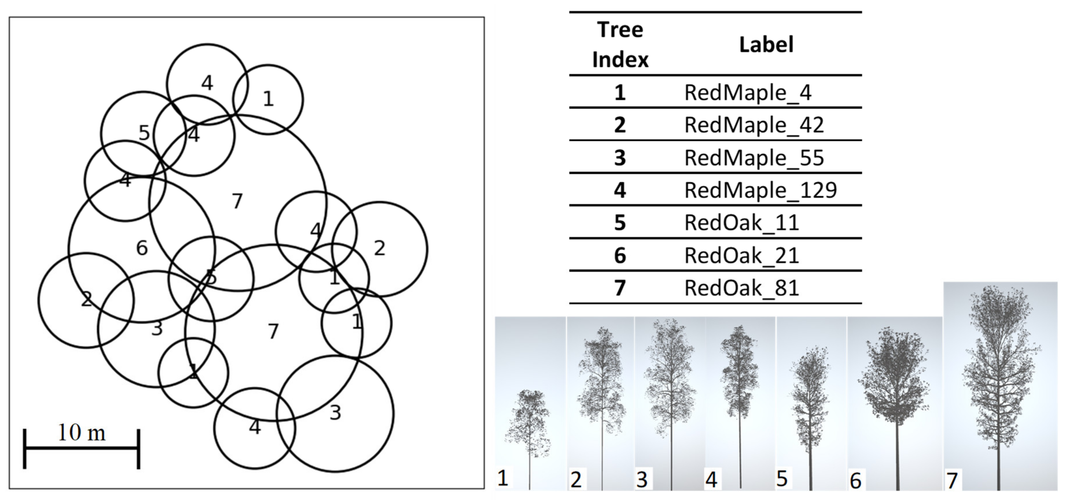 Remotesensing 12 02909 g012 Remotesensing 12 02909 g012