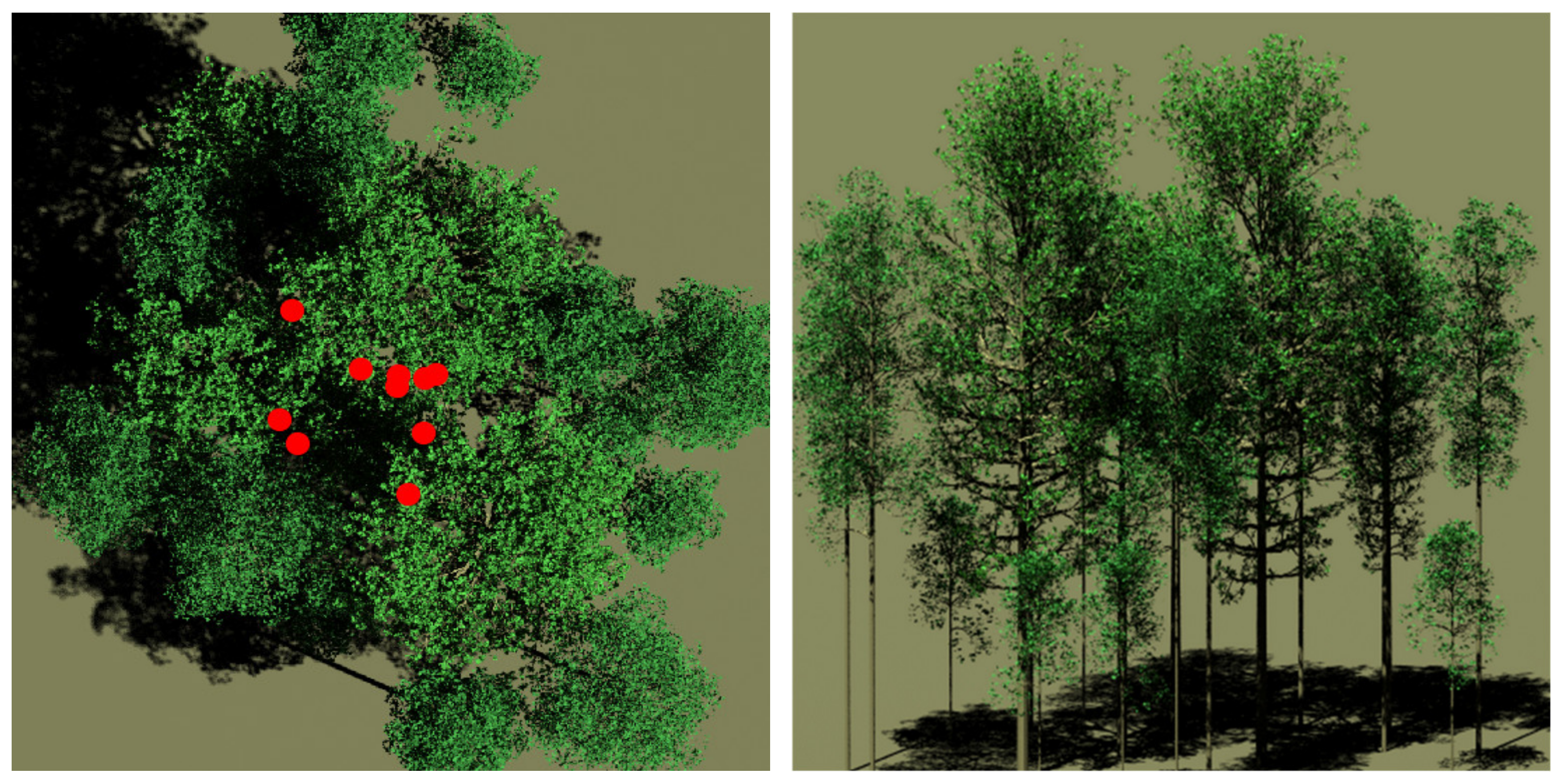 Remotesensing 12 02909 g013 Remotesensing 12 02909 g013