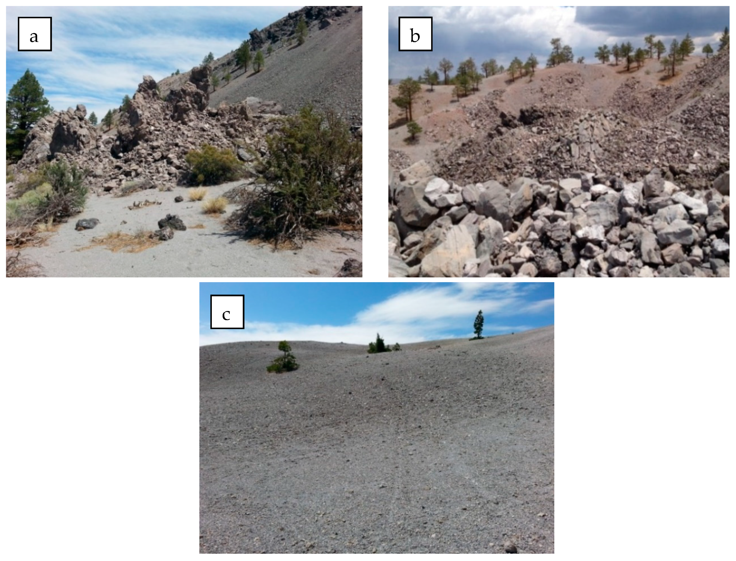 Remotesensing 12 02914 g002