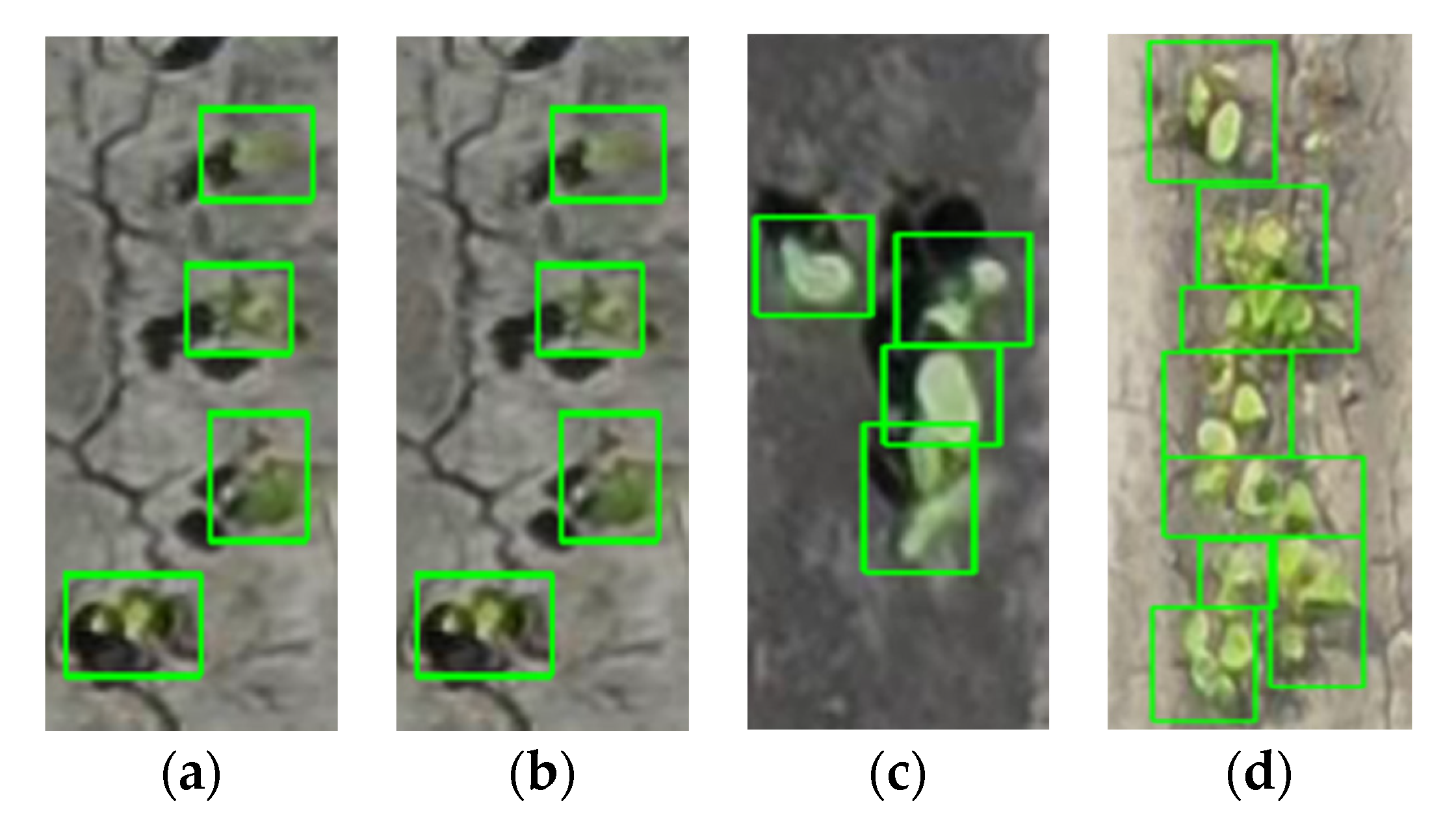 Remotesensing 12 02981 g009 Remotesensing 12 02981 g009