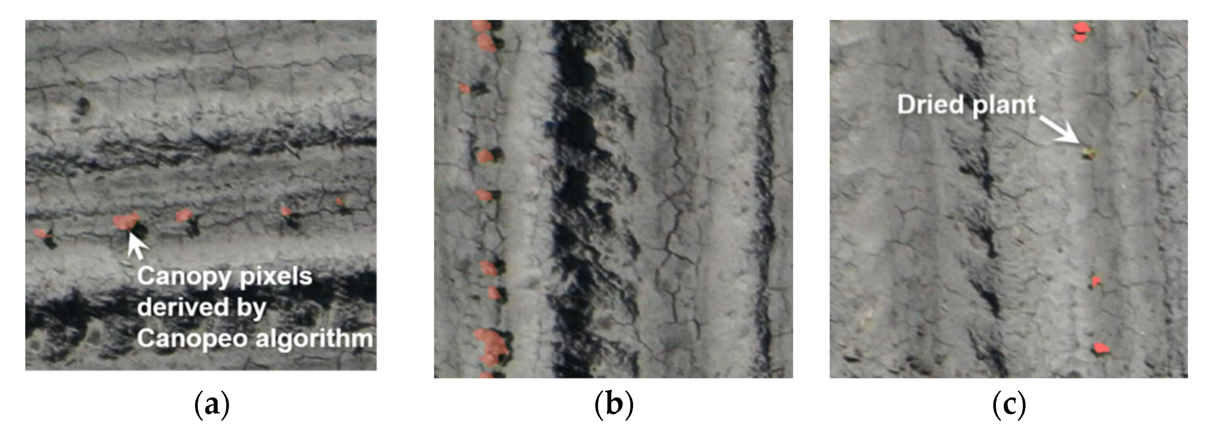 Remotesensing 12 02981 g010 Remotesensing 12 02981 g010