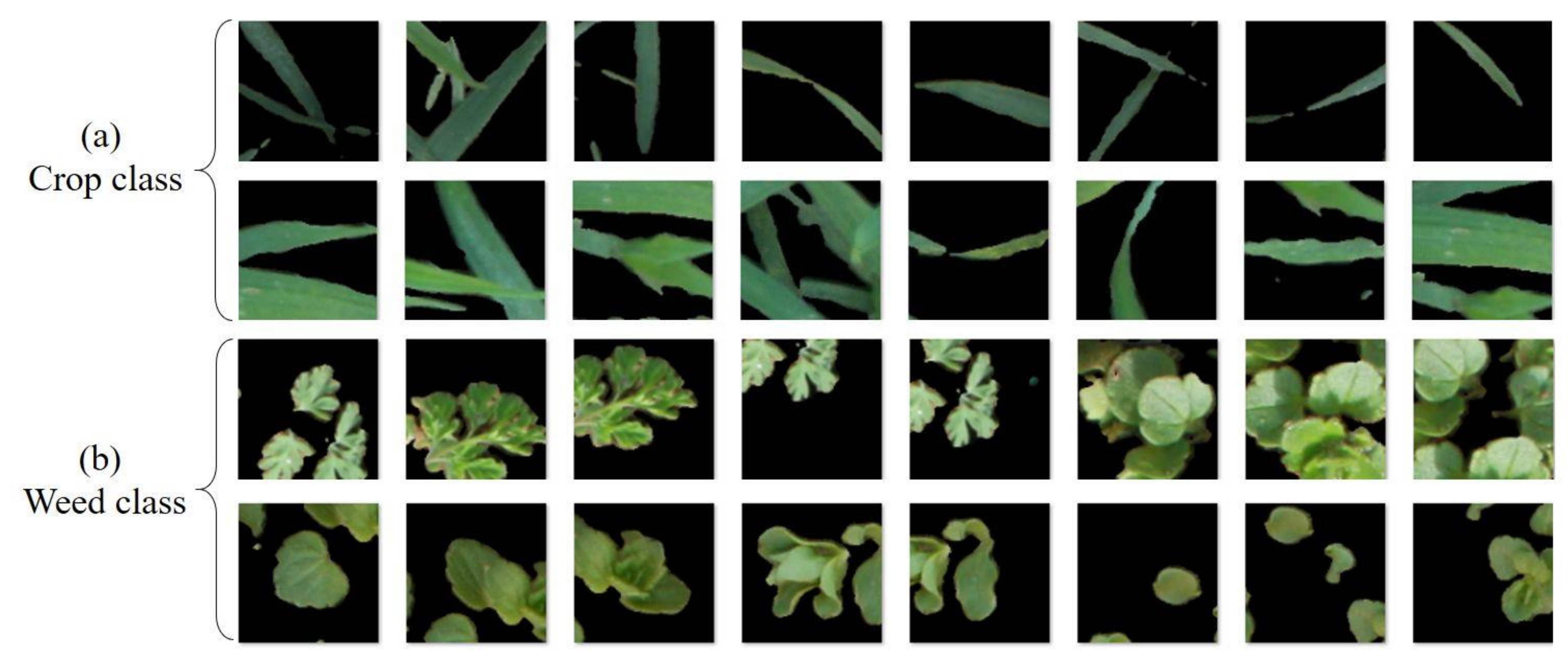 Remotesensing 12 02982 g003 Remotesensing 12 02982 g003