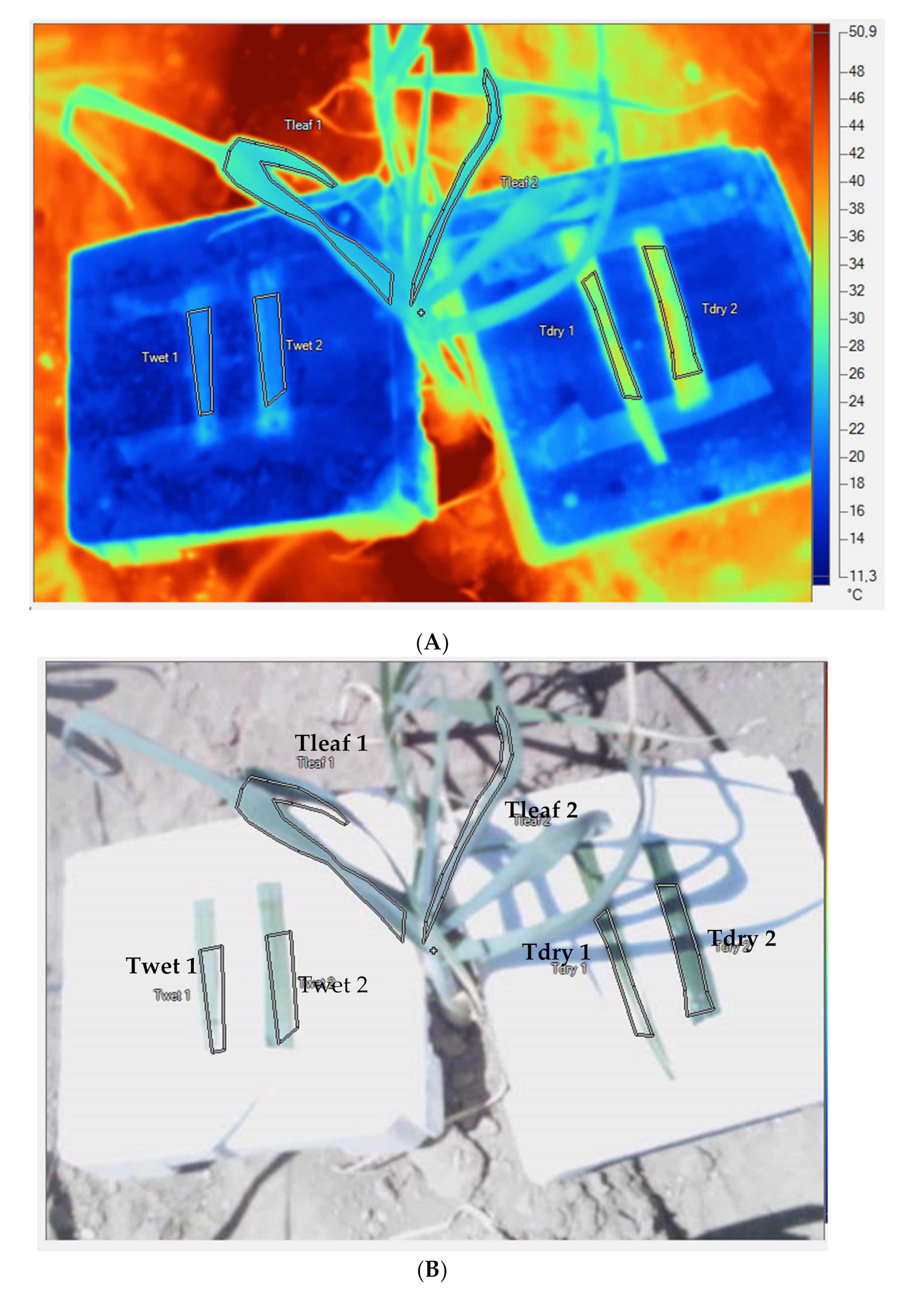 Remotesensing 12 02990 g002 Remotesensing 12 02990 g002
