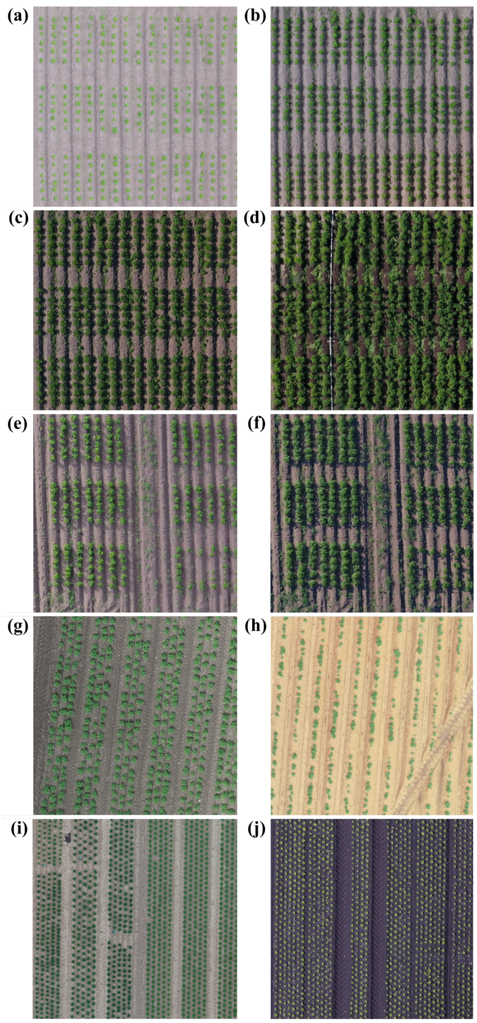 Remotesensing 12 03015 g001