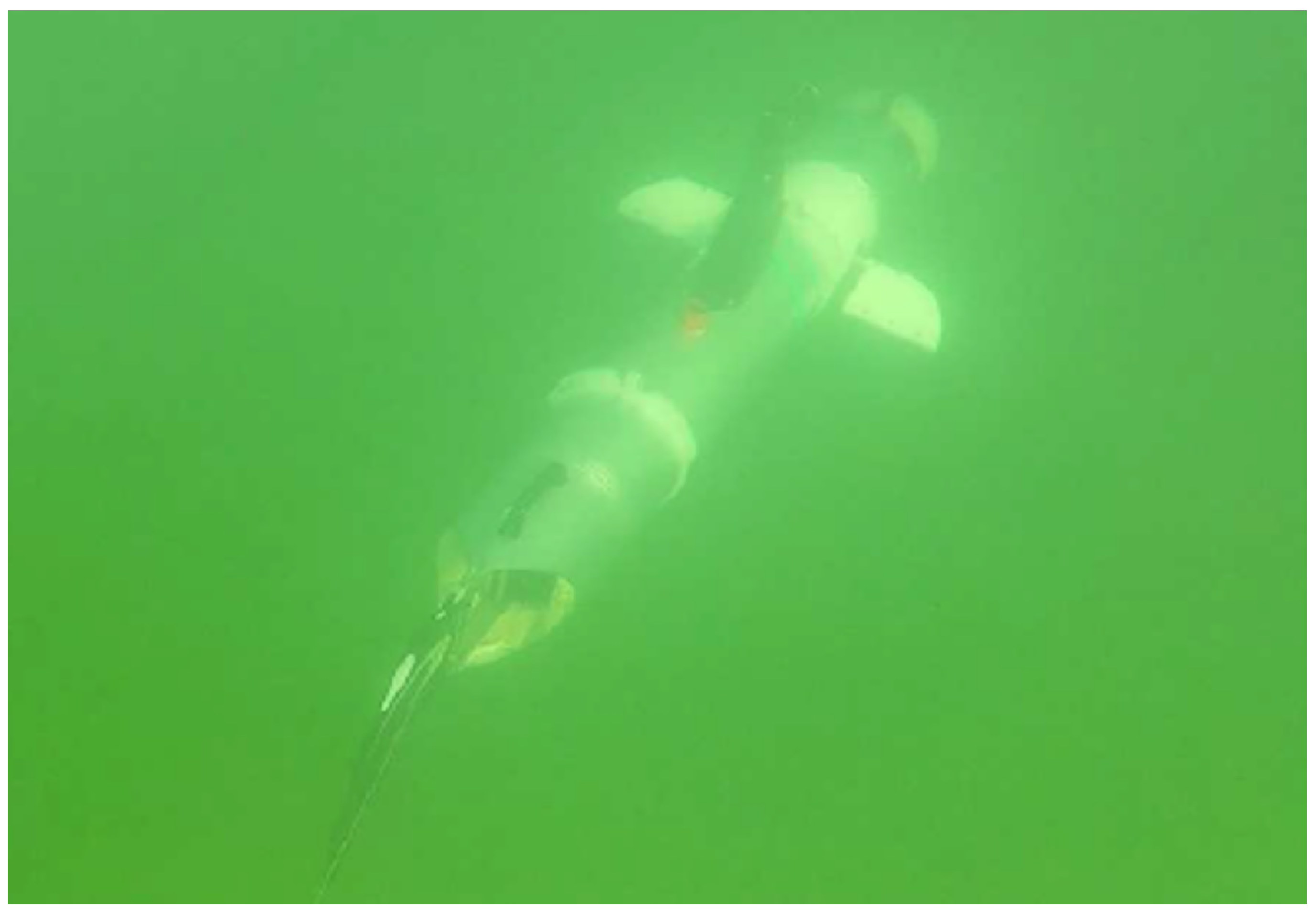 The Effectiveness of Using a Pretrained Deep Learning Neural Networks ...