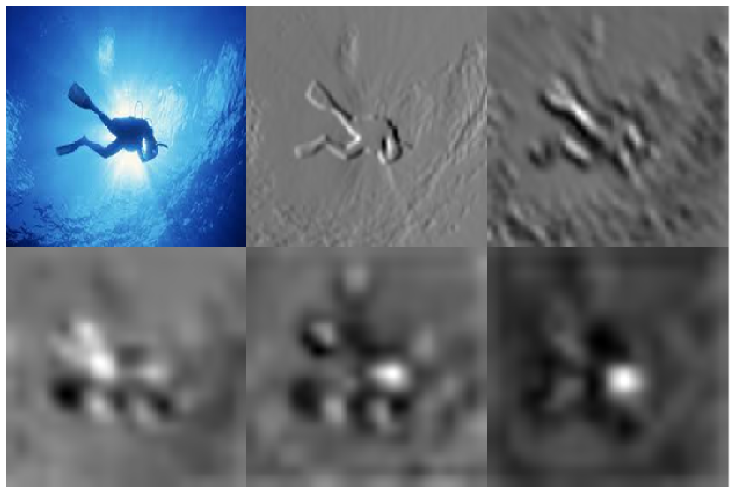 The Effectiveness of Using a Pretrained Deep Learning Neural Networks ...