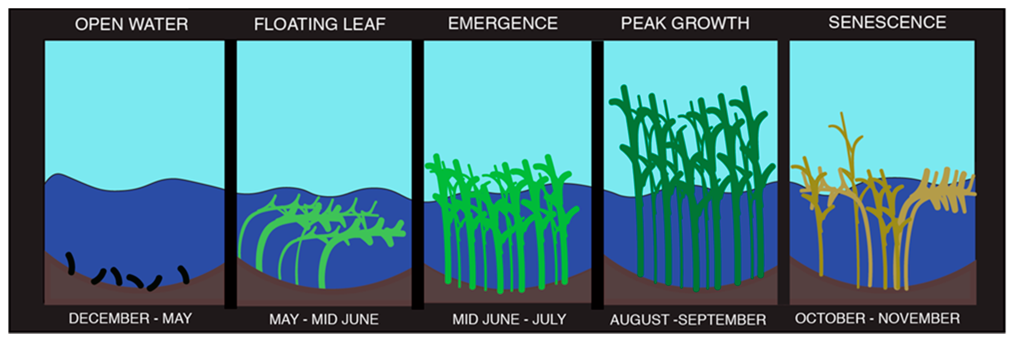 Remotesensing 12 03023 g001
