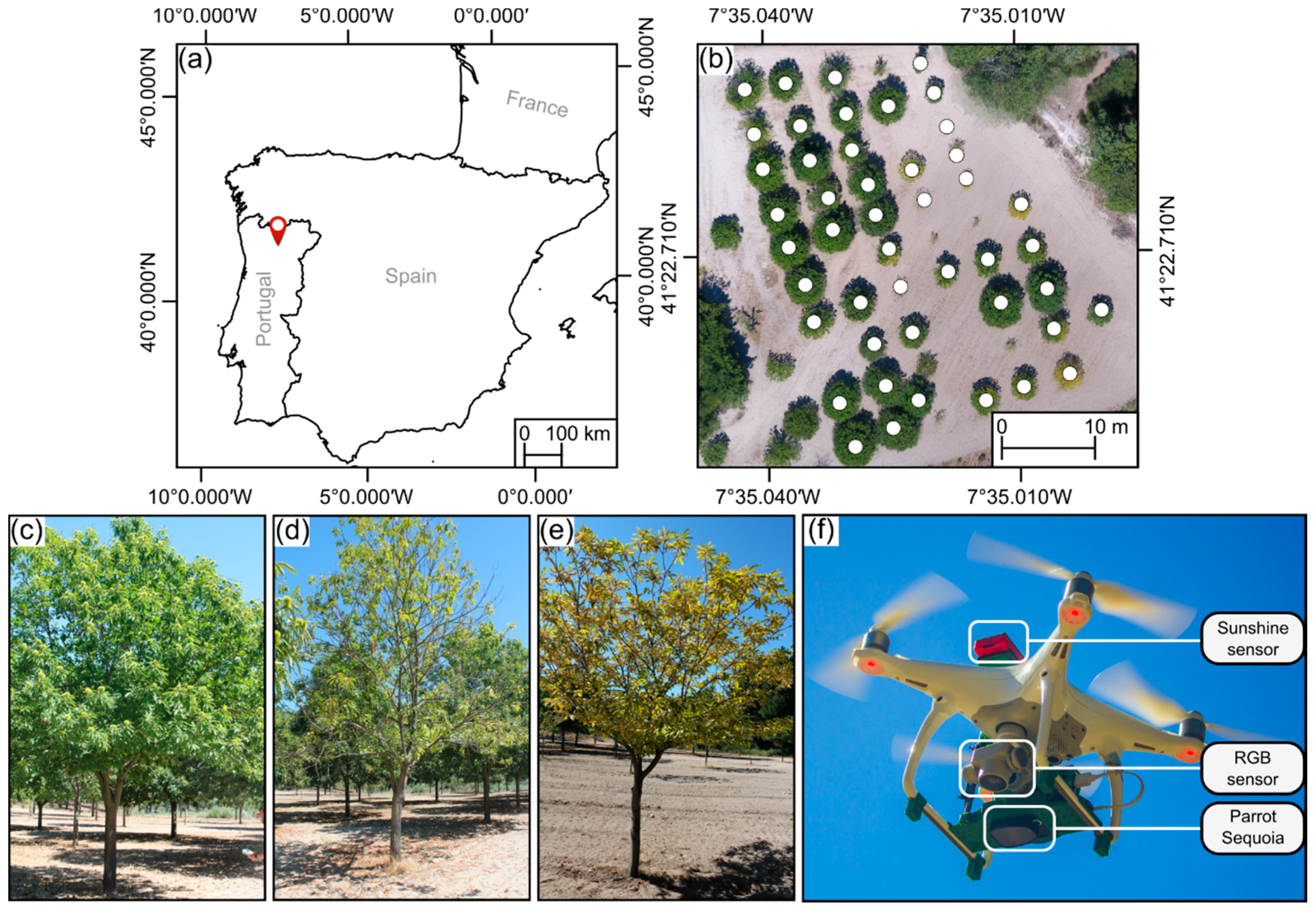 Remotesensing 12 03032 g001 Remotesensing 12 03032 g001