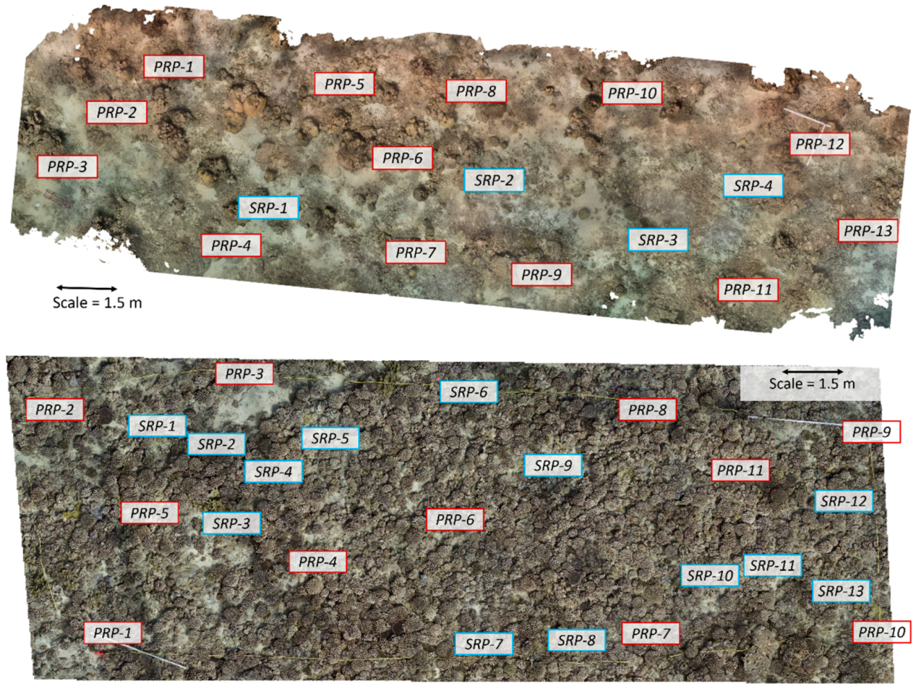 Remotesensing 12 03036 g003