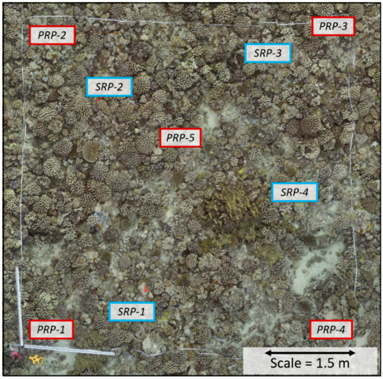 Remotesensing 12 03036 g005