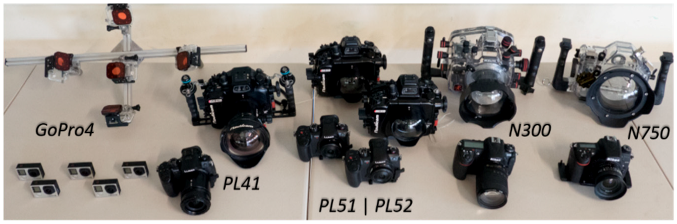 Remotesensing 12 03036 g006