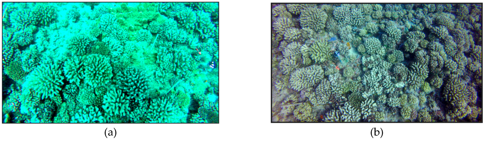 Remotesensing 12 03036 g010