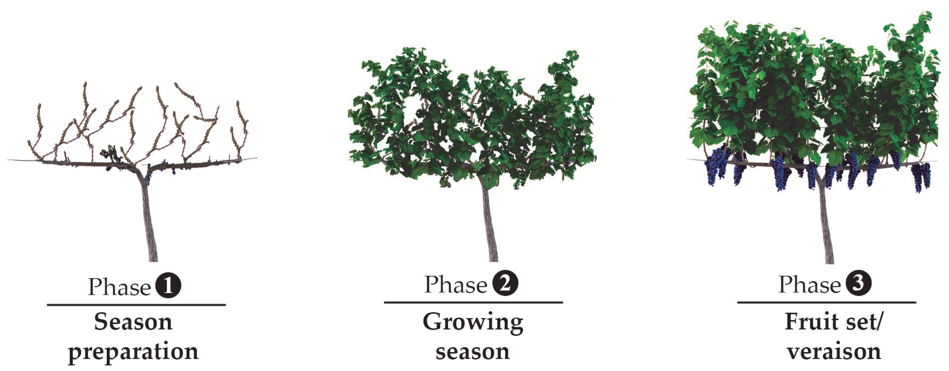 Remotesensing 12 03043 g002 Remotesensing 12 03043 g002