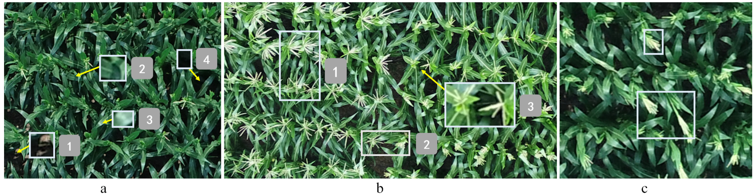 Remotesensing 12 03049 g002 Remotesensing 12 03049 g002