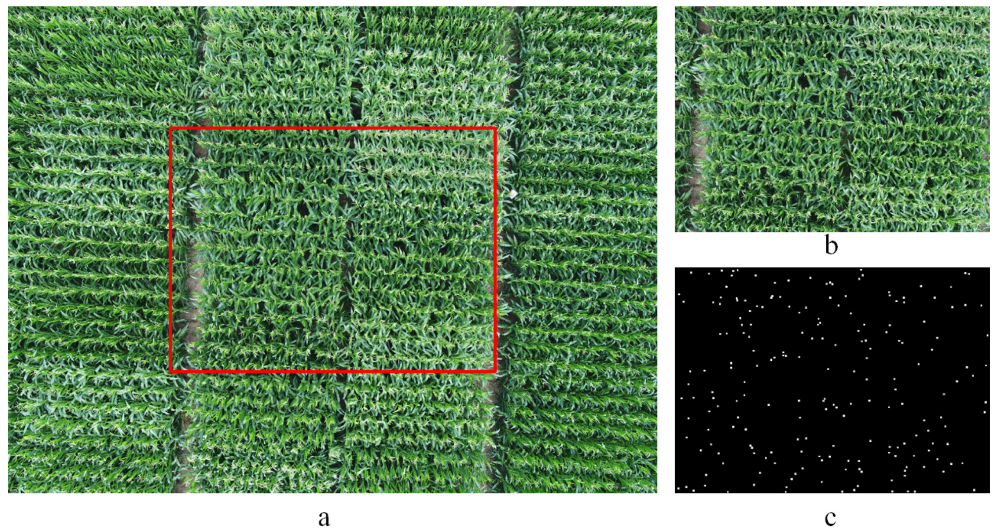 Remotesensing 12 03049 g004 Remotesensing 12 03049 g004